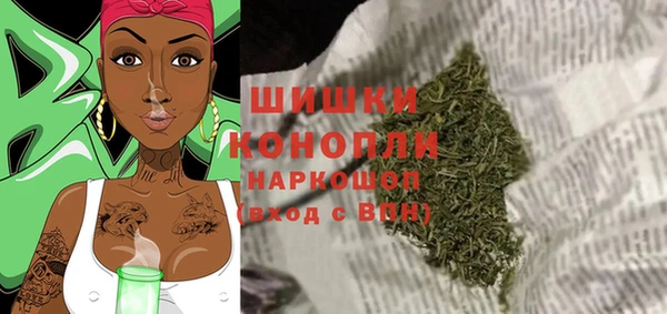 PSILOCYBIN Каменногорск