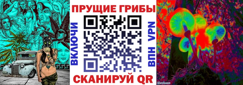 Галлюциногенные грибы прущие грибы  Купить  Холм 